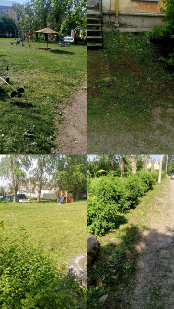 Уже почувствовали запах скошенной травы у себя во дворе?